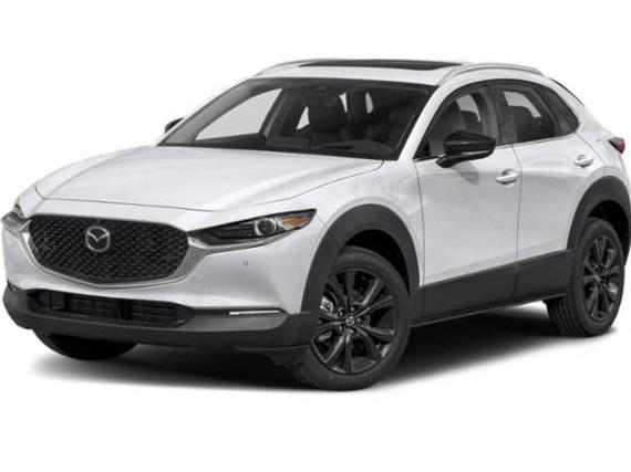MAZDA CX-30 2021 3MVDMBEY3MM237664 image MAZDA CX-30 2021 3MVDMBEY3MM237664 image