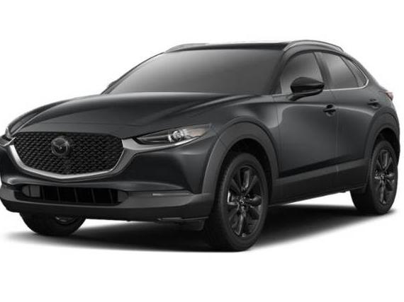 MAZDA CX-30 2021 3MVDMBDY2MM241030 image