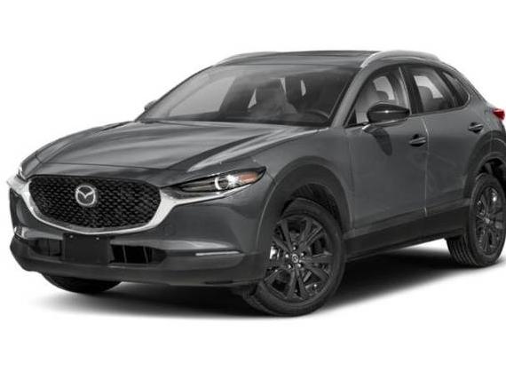 MAZDA CX-30 2021 3MVDMBAY3MM308383 image