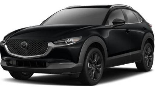 MAZDA CX-30 2021 3MVDMBDY3MM309125 image