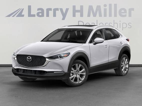 MAZDA CX-30 2021 3MVDMBDL7MM212384 image MAZDA CX-30 2021 3MVDMBDL7MM212384 image