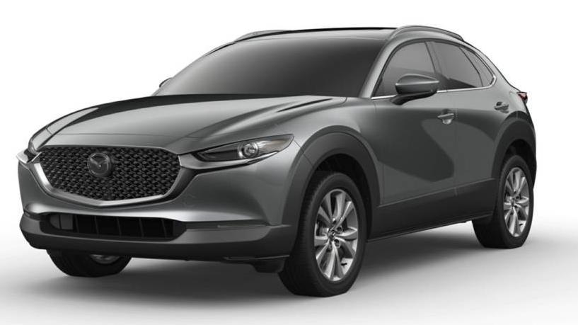 MAZDA CX-30 2021 3MVDMADMXMM215430 image