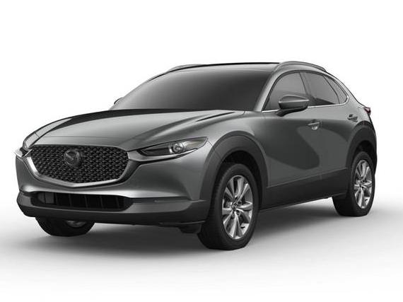 MAZDA CX-30 2021 3MVDMBDL4MM309493 image
