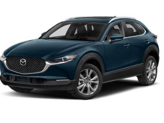 MAZDA CX-30 2021 3MVDMBDM1MM213765 image