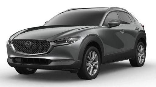 MAZDA CX-30 2021 3MVDMBDM2MM220692 image