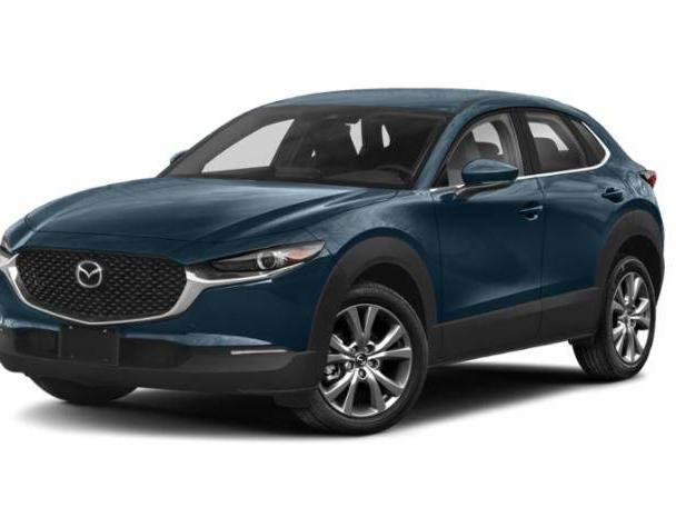 MAZDA CX-30 2021 3MVDMBAL9MM205361 image