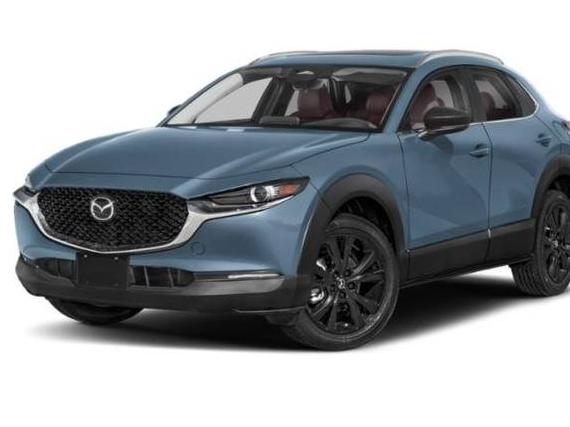 MAZDA CX-30 2024 3MVDMBCM4RM606667 image
