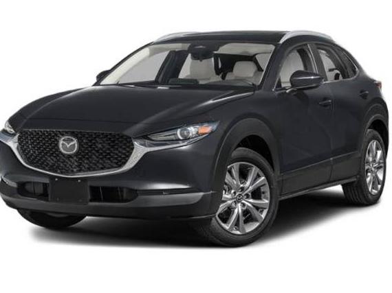 MAZDA CX-30 2024 3MVDMBCM6RM700971 image