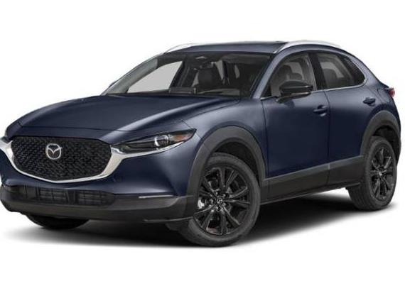 MAZDA CX-30 2024 3MVDMBDY6RM687897 image