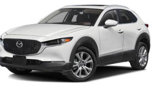 MAZDA CX-30 2024 3MVDMBDM1RM608598 image