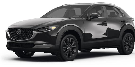 MAZDA CX-30 2024 3MVDMBEY5RM627009 image