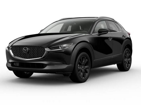 MAZDA CX-30 2024 3MVDMBDY3RM663671 image