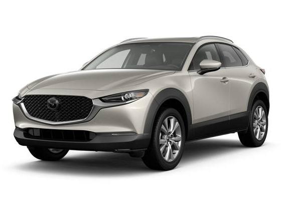 MAZDA CX-30 2024 3MVDMBDM8RM662920 image