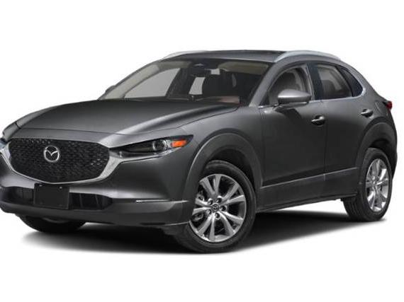 MAZDA CX-30 2024 3MVDMBDM5RM701642 image