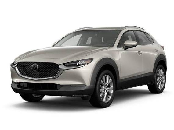 MAZDA CX-30 2024 3MVDMBDM5RM686415 image