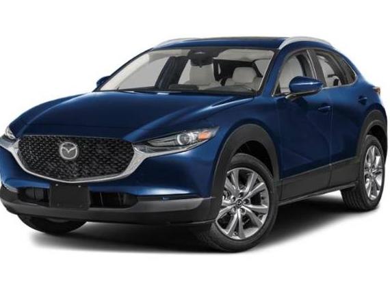 MAZDA CX-30 2024 3MVDMBCM3RM711538 image