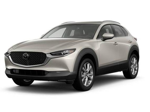 MAZDA CX-30 2024 3MVDMBDM4RM608899 image