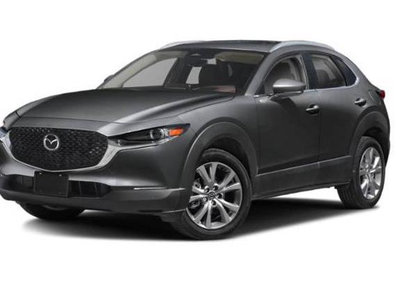MAZDA CX-30 2024 3MVDMBDM4RM666446 image