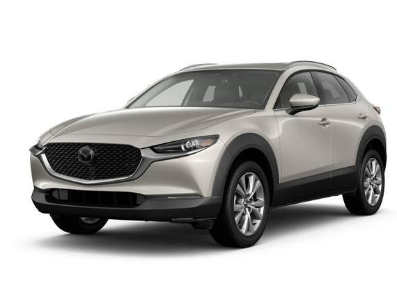 MAZDA CX-30 2024 3MVDMBDM9RM651330 image