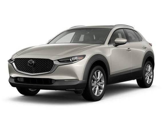 MAZDA CX-30 2024 3MVDMBDM3RM688695 image