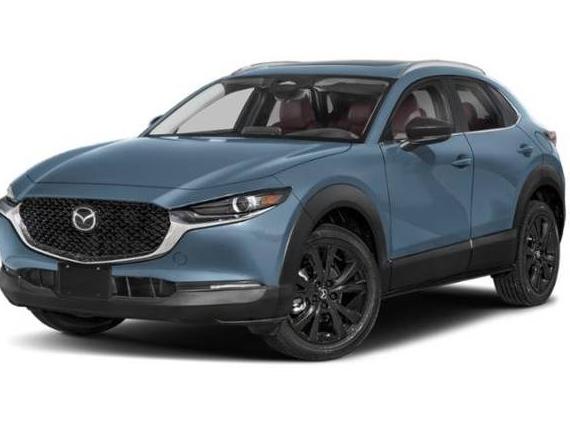 MAZDA CX-30 2024 3MVDMBCM4RM678887 image