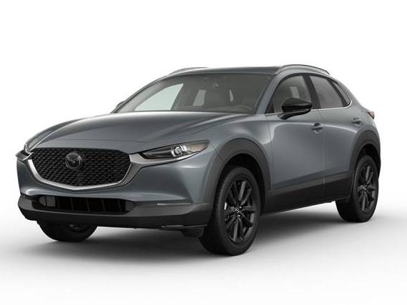 MAZDA CX-30 2024 3MVDMBCM8RM659209 image