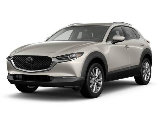 MAZDA CX-30 2024 3MVDMBDM1RM690395 image