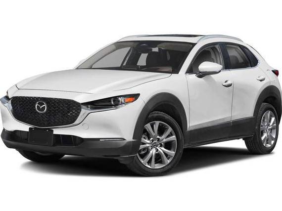 MAZDA CX-30 2024 3MVDMBDM5RM601895 image