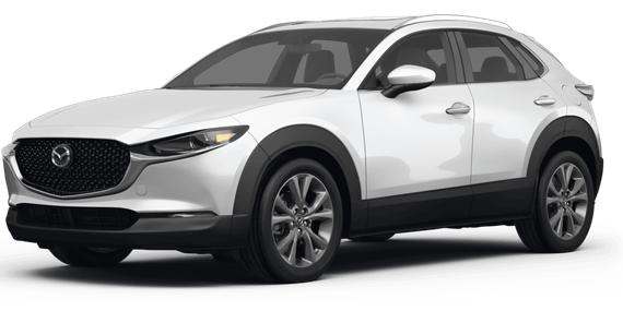 MAZDA CX-30 2024 3MVDMBDM2RM693032 image