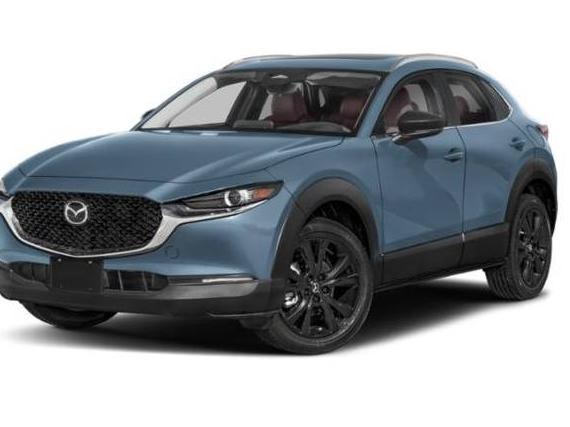 MAZDA CX-30 2024 3MVDMBCM8RM639221 image