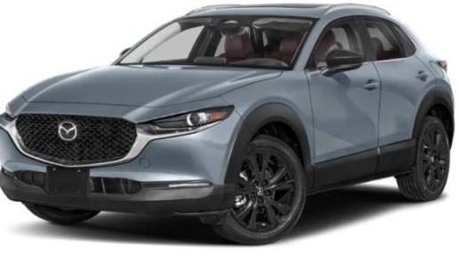 MAZDA CX-30 2024 3MVDMBCM8RM626792 image