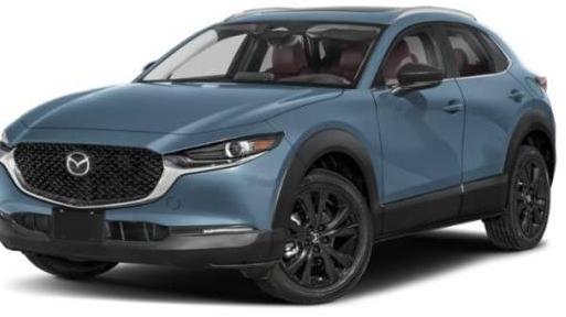 MAZDA CX-30 2024 3MVDMBCM1RM691192 image