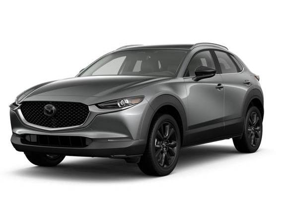 MAZDA CX-30 2024 3MVDMBBM7RM703881 image