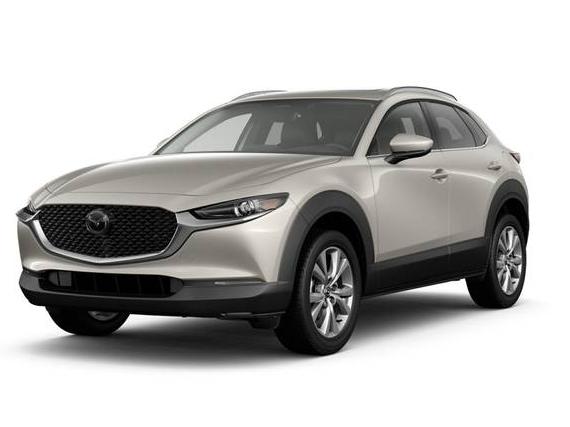 MAZDA CX-30 2024 3MVDMBDM2RM648639 image