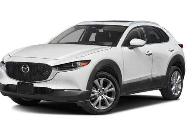 MAZDA CX-30 2024 3MVDMBDM7RM633991 image