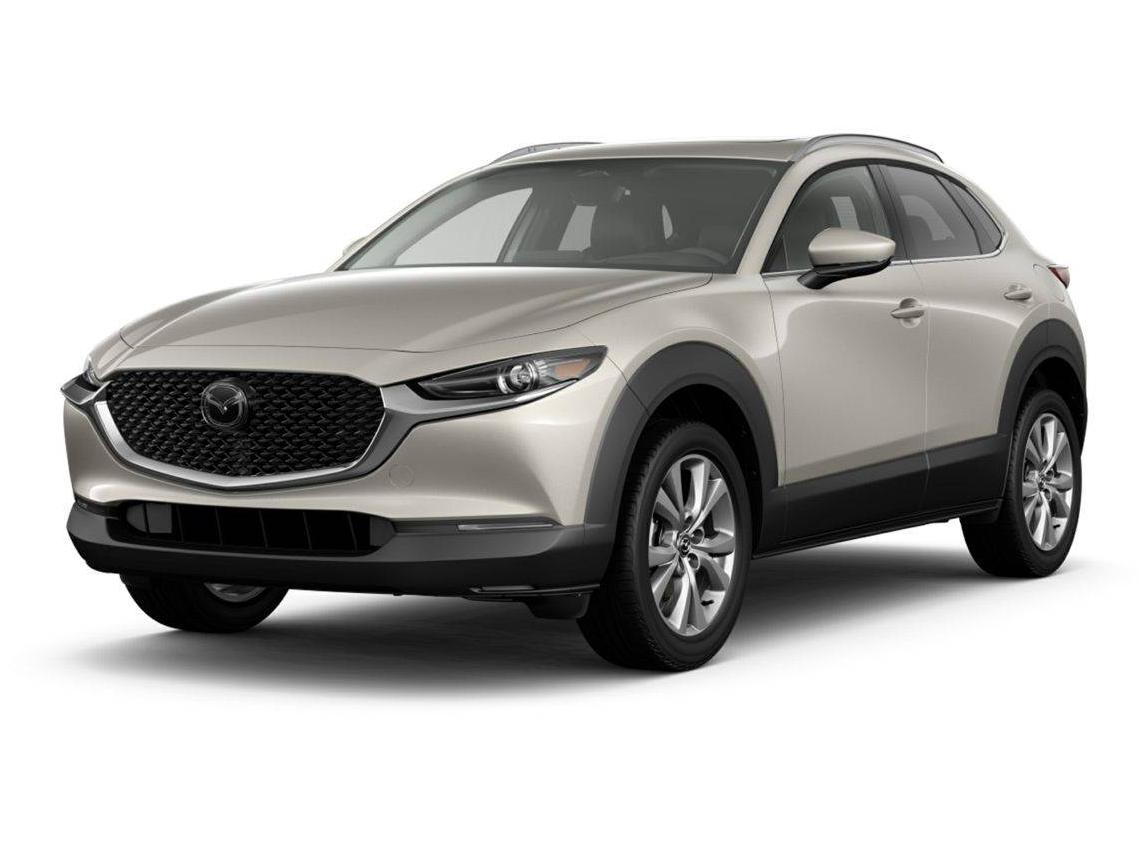 MAZDA CX-30 2024 3MVDMBDM3RM649038 image