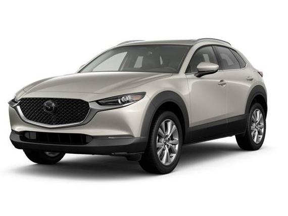 MAZDA CX-30 2024 3MVDMBDM8RM657393 image