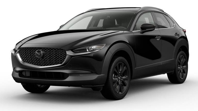 MAZDA CX-30 2024 3MVDMBDY6RM612908 image