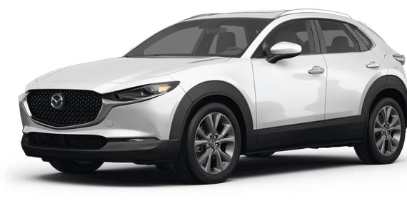 MAZDA CX-30 2024 3MVDMBDM5RM610404 image