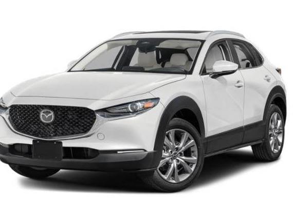 MAZDA CX-30 2024 3MVDMBCM2RM714107 image