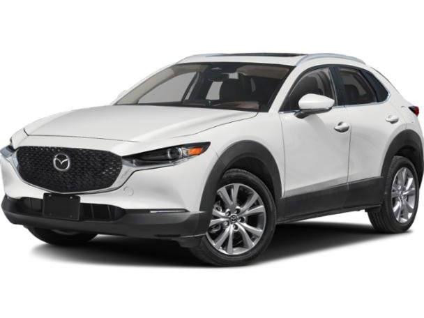 MAZDA CX-30 2024 3MVDMBDM7RM605432 image