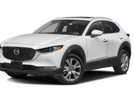 MAZDA CX-30 2024 3MVDMBDM1RM630486 image