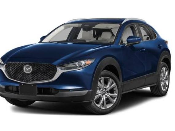 MAZDA CX-30 2024 3MVDMBCM8RM721238 image