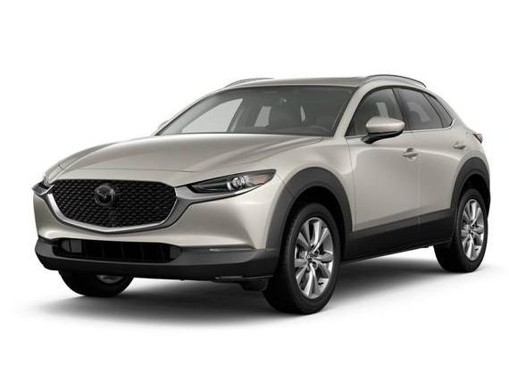 MAZDA CX-30 2024 3MVDMBDMXRM650736 image