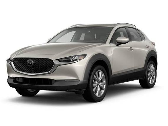 MAZDA CX-30 2024 3MVDMBDM4RM630207 image