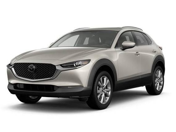 MAZDA CX-30 2024 3MVDMBDM6RM647056 image