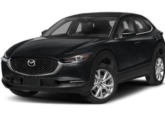 MAZDA CX-30 2020 3MVDMBDLXLM133841 image