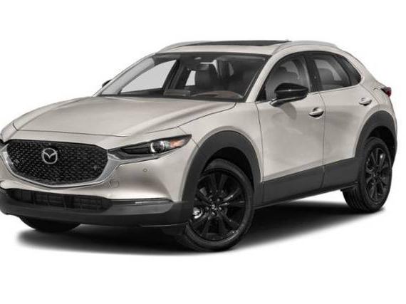 MAZDA CX-30 2022 3MVDMBEY0NM433840 image