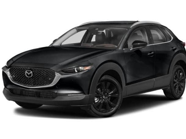 MAZDA CX-30 2022 3MVDMBEYXNM446563 image