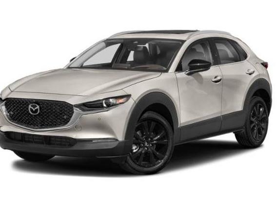 MAZDA CX-30 2022 3MVDMBEY2NM445097 image